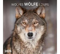 Calendrier 2026 Loup louveteau AVEC MAXI POSTER 30X60cm (tsh ap) + offert un agenda de poche