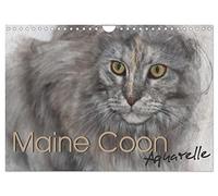 Calendrier 2026 · Maine Coon Aquarelle
