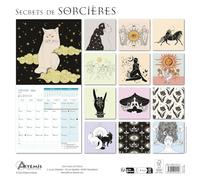 CALENDRIER 2026 MON ANNEE DE SORCIERE - GRIMOIRE - MAGIE - SORCIER - (los) +offert un agenda de poche 2026