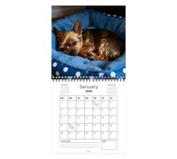 Calendrier 2026 motif chien - Art animal - Planification mensuelle sur 12 mois - Pour chambre à coucher, salon, cuisine, salle de classe, réunion, vacances, aide à des événements, des