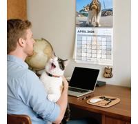 Calendrier 2026 Mural - Calendrier Chats Drôles 2026,Pour Planification Mensuelle Bureau Appartement Chambre Cuisine Salon