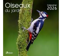 CALENDRIER 2026 Oiseaux du jardin rouge gorge mesange moineau (los) +offert un agenda de poche 2026