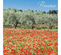 CALENDRIER 2026 PROVENCE - OLIVIER -ABBAYE SENANQUE - LUBERON - LE PONT DU GARD - LAVANDE - SAINT REMY DE PROVENCE - (AJZ105) + offert un agenda de poche