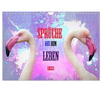 Calendrier 2026 · Proverbes de la vie - Artwork