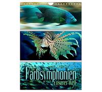 Calendrier 2026 · Symphonies de couleurs de notre monde