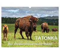 Calendrier 2026 · TATONKA Le bison d'Amérique du Nord