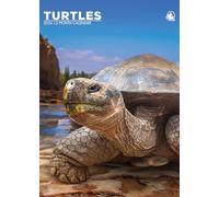 Calendrier 2026 Tortues A3 à spirales en couleur.