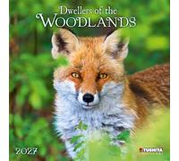 Calendrier 2027 Animaux de la foret ours renard (TS) + offert un agenda de poche