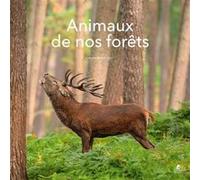 Calendrier 2027 Animaux de nos forêts Anne-Clotilde Chevillard (Auteur)