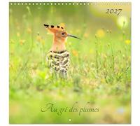 Calendrier 2027 · Au gré des plumes | Des oiseaux sauvages divers et variés de toute beauté · 30 × 30 cm carré · CALVENDO Calendrier mural
