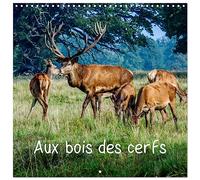 Calendrier 2027 · Aux bois des cerfs | Cerfs en liberté dans une forêt danoise proche de Copenhague · 30 × 30 cm carré · CALVENDO Calendrier mural