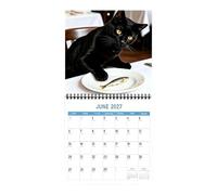 Calendrier 2027 avec motif chat mignon | Calendrier mensuel annuel 12 pour planifier l'organisation de la maison, du bureau, de la salle de classe