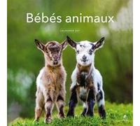 Calendrier 2027 Bébés animaux Collectif (Auteur)