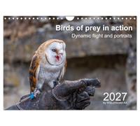 Calendrier 2027 · Birds of Prey in Action - Dynamic Flight and Portraits | Birds of prey in dynamic flight · DIN A4 paysage · CALVENDO Calendrier mural