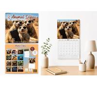 Calendrier 2027 - Calendrier mural Animal Selfies - Calendrier mensuel - 16 mois - 30 x 30 cm