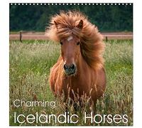 Calendrier 2027 · Charmants chevaux islandais