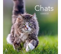 Calendrier 2027 Chats
