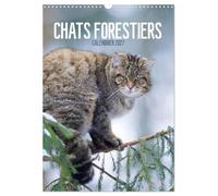 Calendrier 2027 · Chats forestiers