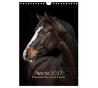 Calendrier 2027 · Chevaux 2027 - Des personnalités devant la caméra | Des portraits de chevaux pleins d'expression · DIN A4 portrait · CALVENDO Calendrier mural