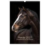 Calendrier 2027 · Chevaux 2027 - Des personnalités devant la caméra | Des portraits de chevaux pleins d'expression · DIN A3 portrait · CALVENDO Calendrier mural