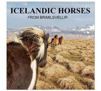 Calendrier 2027 · Chevaux d'Islande de BRIMILSVELLIR