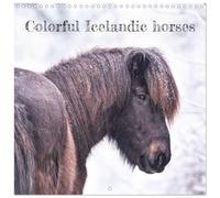 Calendrier 2027 · Chevaux islandais colorés