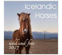 Calendrier 2027 · Chevaux islandais - sauvages et