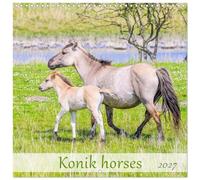 Calendrier 2027 · Chevaux Konik
