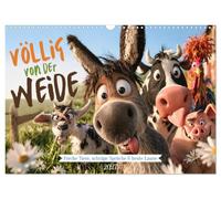 Calendrier 2027 · Complètement hors de ses gonds | Des vaches folles, des chèvres déjantées, des ânes excentriques et d'autres… · DIN A3 paysage · CALVENDO Calendrier mural
