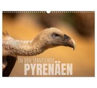 Calendrier 2027 · Dans les Pyrénées espagnoles | Photos de nature prises dans les Hautes-Pyrénées et les contreforts méridionaux · DIN A3 paysage · CALVENDO Calendrier mural