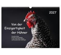 Calendrier 2027 · De l'unicité des poulets | Portraits de poules artistiques avec texte · DIN A3 paysage · CALVENDO Calendrier mural