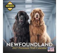 Calendrier 2027 de Terre-Neuve - 16 mois - Calendrier mural pour chien - Planificateur mensuel - Grands blocs d'écriture - Papier épais sans bavure - Fabriqué aux États-Unis - Cadeau pour les amoureux