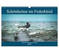 Calendrier 2027 · Des beautés à plumes - Portraits d'oiseaux sauvages | indigènes · Un aperçu de la diversité des couleurs de nos oiseaux sauvages · DIN A3 paysage · CALVENDO Calendrier mural