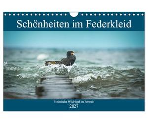 Calendrier 2027 · Des beautés à plumes - Portraits d'oiseaux sauvages | indigènes · Un aperçu de la diversité des couleurs de nos oiseaux sauvages · DIN A4 paysage · CALVENDO Calendrier mural