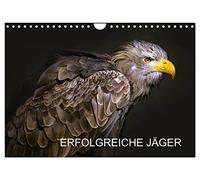 Calendrier 2027 · Des chasseurs chevronnés | Rapaces et hiboux · Des portraits mis en scène de manière artistique · DIN A4 paysage · CALVENDO Calendrier mural