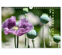 Calendrier 2027 · DES FLEURS ENCHANTERESSES | Découvrez la beauté de la nature avec ces gros plans floraux uniques · DIN A4 paysage · CALVENDO Calendrier mural