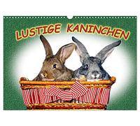 Calendrier 2027 · Des lapins rigolos | Des lapins devant l'objectif · Nous, les lapins, aimons bien être pris en photo · DIN A3 paysage · CALVENDO Calendrier mural