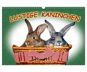 Calendrier 2027 · Des lapins rigolos | Des lapins devant l'objectif · Nous, les lapins, aimons bien être pris en photo · DIN A3 paysage · CALVENDO Calendrier mural