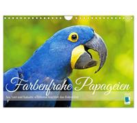 Calendrier 2027 · Des perroquets colorés | Ara, lori et cacatoès : leur plumage brille de mille feux · DIN A4 paysage · CALVENDO Calendrier mural