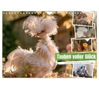 Calendrier 2027 · Des pigeons rayonnants de bonheur | Légères comme une plume, élégantes et pleines de personnalité: des races de… · DIN A4 paysage · CALVENDO Calendrier mural