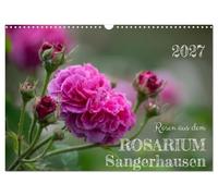 Calendrier 2027 · Des roses du Rosarium de Sangerhausen | Douze portraits de roses de Sangerhausen · DIN A3 paysage · CALVENDO Calendrier mural
