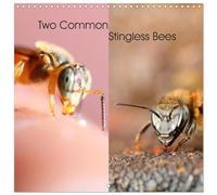 Calendrier 2027 · Deux abeilles communes sans picots