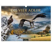 Calendrier 2027 · Die vier Adler - Das exklusive Portrait aller in | Deutschland heimischen Adler · Die vier Adler Deutschlands in eindrucksvollen… · DIN A3 paysage · CALVENDO Calendrier mural