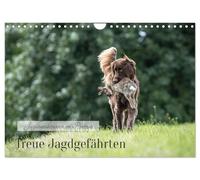 Calendrier 2027 · Fidèles compagnons de chasse - Portrait des races de | chiens de chasse · Diversité des chiens de chasse · Élégance et force à chaque… · DIN A4 paysage · CALVENDO Calendrier mural