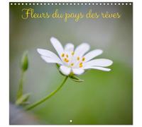 Calendrier 2027 · Fleurs du pays des rêves