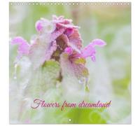 Calendrier 2027 · Fleurs du pays des rêves