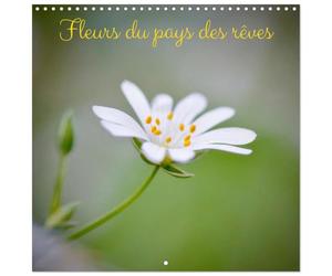 Calendrier 2027 · Fleurs du pays des rêves | Des images de fleurs photographiées de manière rêveuse · 30 × 30 cm carré · CALVENDO Calendrier mural