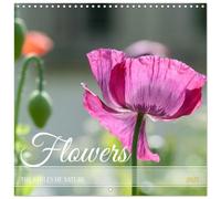 Calendrier 2027 · FLEURS ENCHANTERESSES | Découvrez la beauté de la nature avec ces gros plans floraux uniques · 30 × 30 cm carré · CALVENDO Calendrier mural