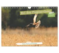Calendrier 2027 · French Version · Chez les hérons pourpres | Un petit extrait des animaux présents sur le territoire des hérons pourpres · DIN A4 paysage · CALVENDO Calendrier mural
