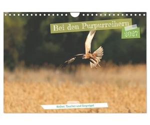 Calendrier 2027 · French Version · Chez les hérons pourpres | Un petit extrait des animaux présents sur le territoire des hérons pourpres · DIN A4 paysage · CALVENDO Calendrier mural